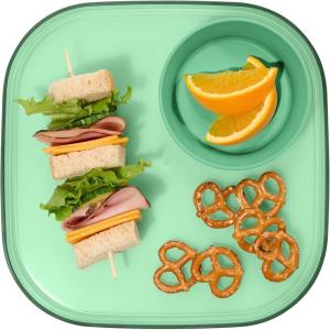 imageMadesmart Dipware Reusable Dining PlateServing Tray for Appetizers and Snacks FoodSafe Appetizer Serving Platter with Removable Dip Bowl PinkTranslucent Sage