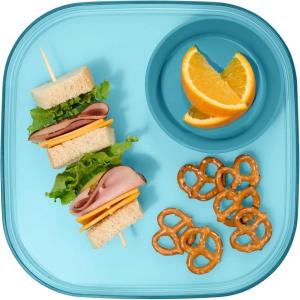 imageMadesmart Dipware Reusable Dining PlateServing Tray for Appetizers and Snacks FoodSafe Appetizer Serving Platter with Removable Dip Bowl PinkTranslucent Turquoise