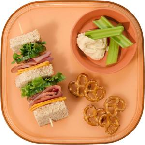 imageMadesmart Dipware Reusable Dining PlateServing Tray for Appetizers and Snacks FoodSafe Appetizer Serving Platter with Removable Dip Bowl PinkTranslucent Terracotta