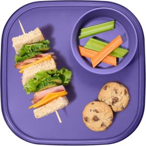 imageMadesmart Dipware Reusable Dining PlateServing Tray for Appetizers and Snacks FoodSafe Appetizer Serving Platter with Removable Dip Bowl PinkTranslucent Plum