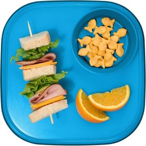 imageMadesmart Dipware Reusable Dining PlateServing Tray for Appetizers and Snacks FoodSafe Appetizer Serving Platter with Removable Dip Bowl PinkTranslucent Ocean