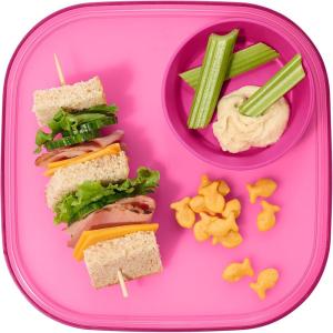 imageMadesmart Dipware Reusable Dining PlateServing Tray for Appetizers and Snacks FoodSafe Appetizer Serving Platter with Removable Dip Bowl PinkTranslucent Pink