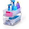 imageMadesmart 2Tier Organizer MultiPurpose SlideOut Storage with Handles and Dividers for Home and Bath BPA Free Pack of 1 CarbonFrost