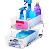 imageMadesmart 2Tier Organizer MultiPurpose SlideOut Storage with Handles and Dividers for Home and Bath BPA Free Pack of 1 CarbonFrost