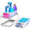 imageMadesmart 2Tier Organizer MultiPurpose SlideOut Storage with Handles and Dividers for Home and Bath BPA Free Pack of 1 CarbonFrost